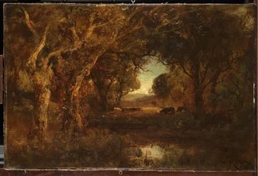 Sunset landscape with trees
